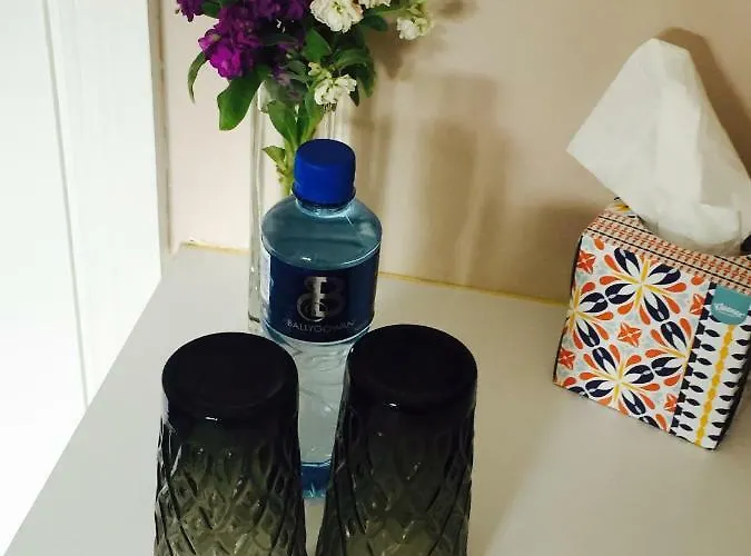 Bed and breakfast Tara *