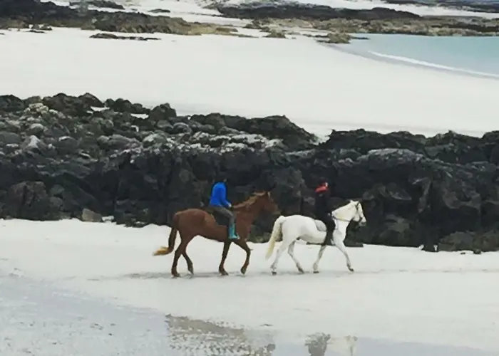 Tara Bed and breakfast