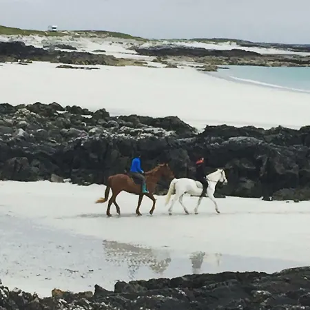 Tara Nocleg ze śniadaniem